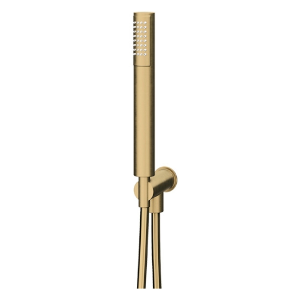 Product cut out of the Abacus Iso Pro Brushed Brass Handset Shower Kit with Round Wall Outlet & Holder TBKT-20-8202